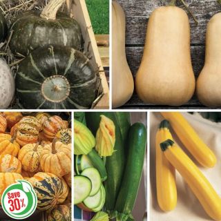 Year of the Squash Collection Thumbnail